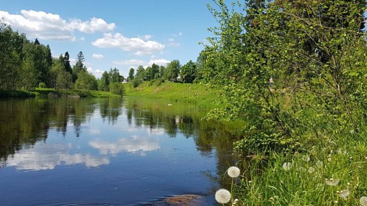 Увлекательное приключение на байдарках по реке Оредеж