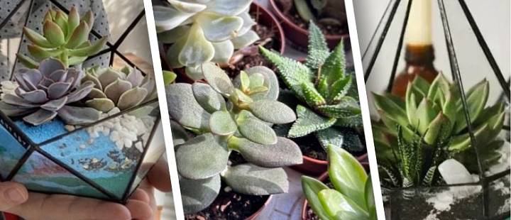 Лучшие творческие мастер-классы студии Artista