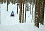 Сафари на снегоходе - скорость, драйв и здоровый адреналин!